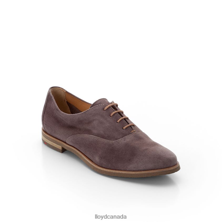 ROGH LEATHER LACE HALF SHOES LLOYD Women grey R084ZF1095 Shoes