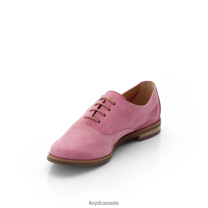 ROGH LEATHER LACE HALF SHOES LLOYD Women red R084ZF1183 Shoes