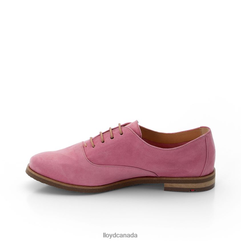 ROGH LEATHER LACE HALF SHOES LLOYD Women red R084ZF1183 Shoes