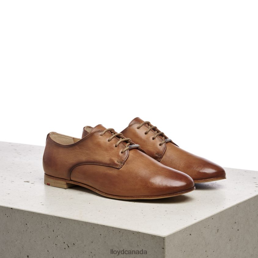 SMOOTH LEATHER LACE HALF SHOES LLOYD Women brown R084ZF1067 Shoes