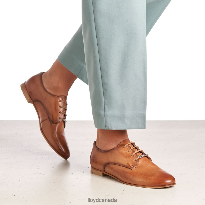 SMOOTH LEATHER LACE HALF SHOES LLOYD Women brown R084ZF1067 Shoes