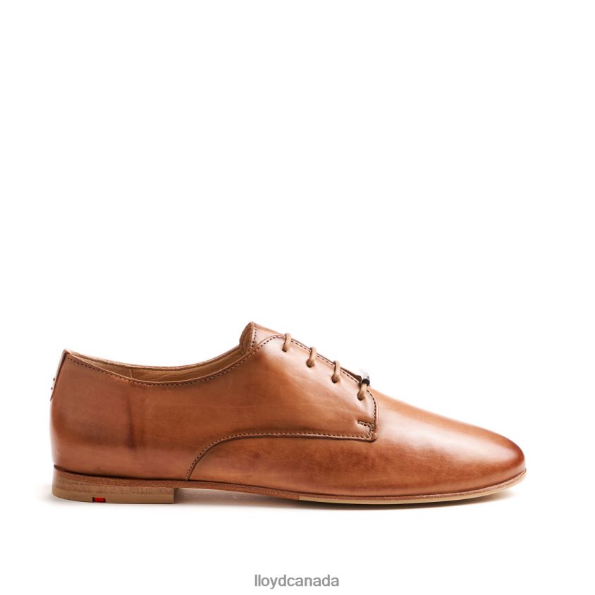 SMOOTH LEATHER LACE HALF SHOES LLOYD Women brown R084ZF1067 Shoes