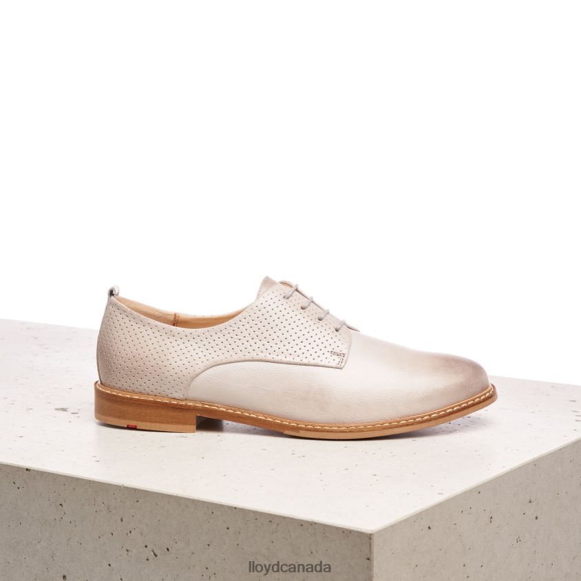SMOOTH LEATHER LACE HALF SHOES LLOYD Women grey R084ZF1190 Shoes