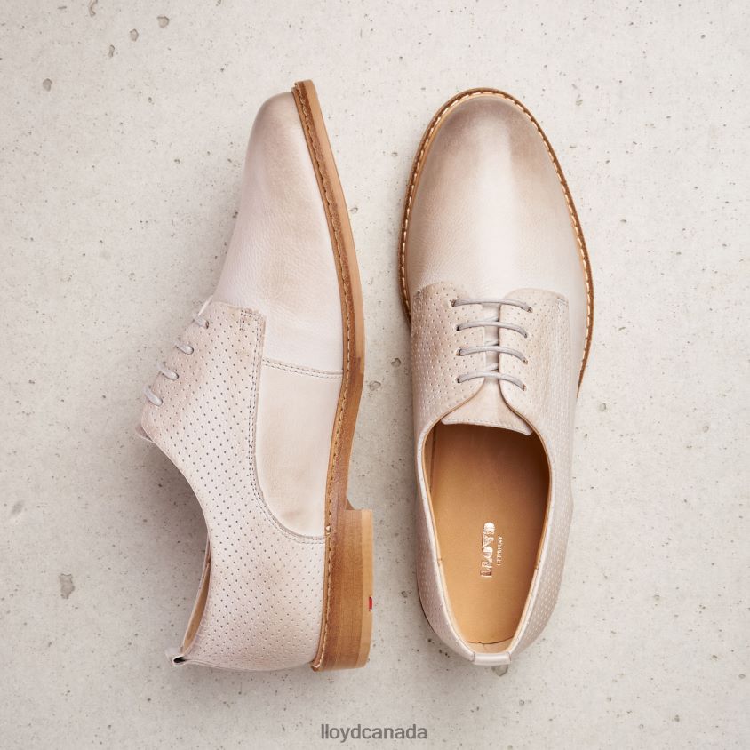 SMOOTH LEATHER LACE HALF SHOES LLOYD Women grey R084ZF1190 Shoes