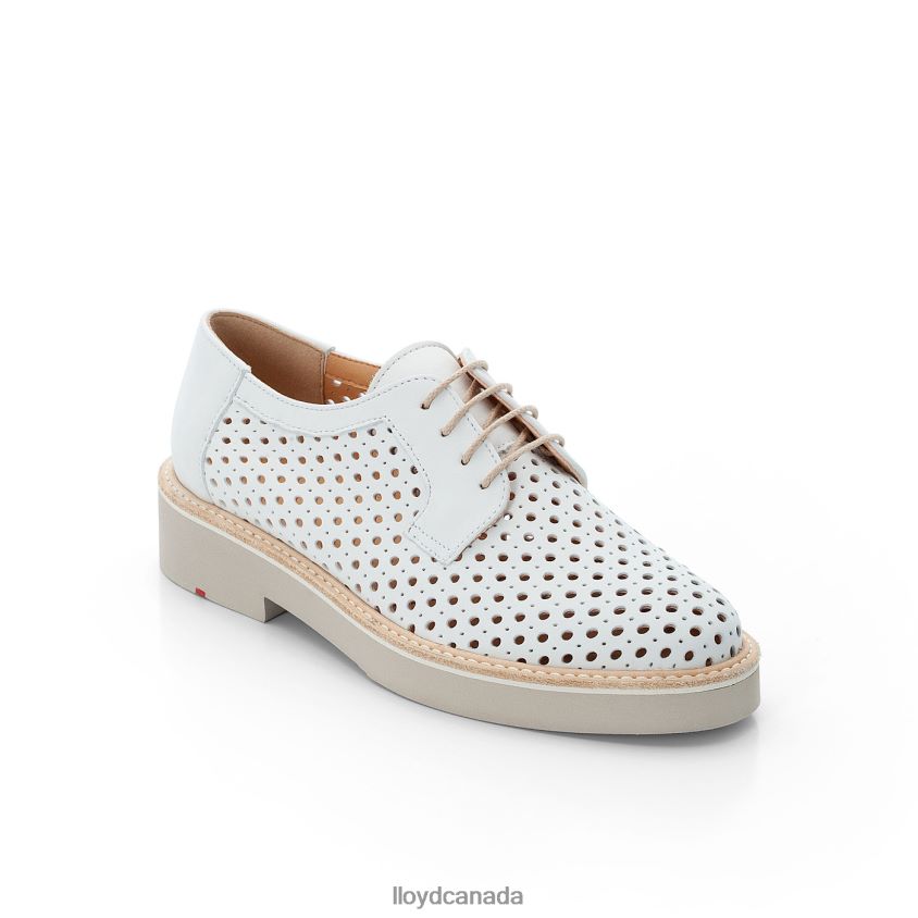 SMOOTH LEATHER LACE HALF SHOES LLOYD Women white R084ZF1184 Shoes