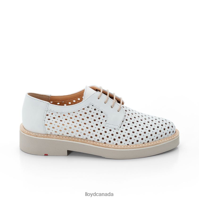 SMOOTH LEATHER LACE HALF SHOES LLOYD Women white R084ZF1184 Shoes
