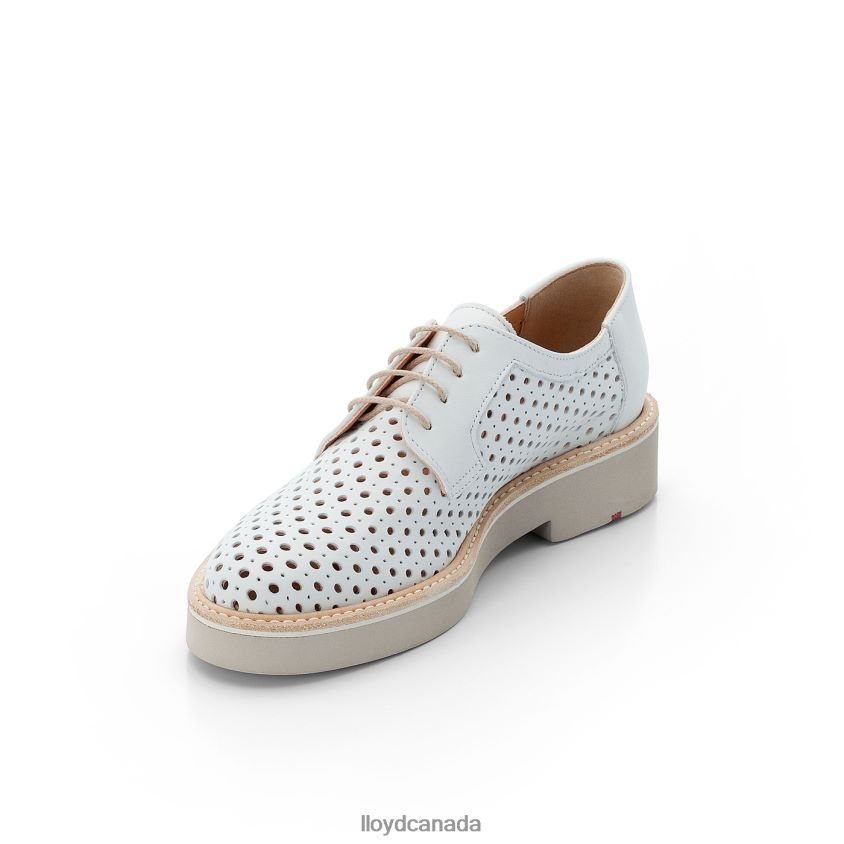 SMOOTH LEATHER LACE HALF SHOES LLOYD Women white R084ZF1184 Shoes
