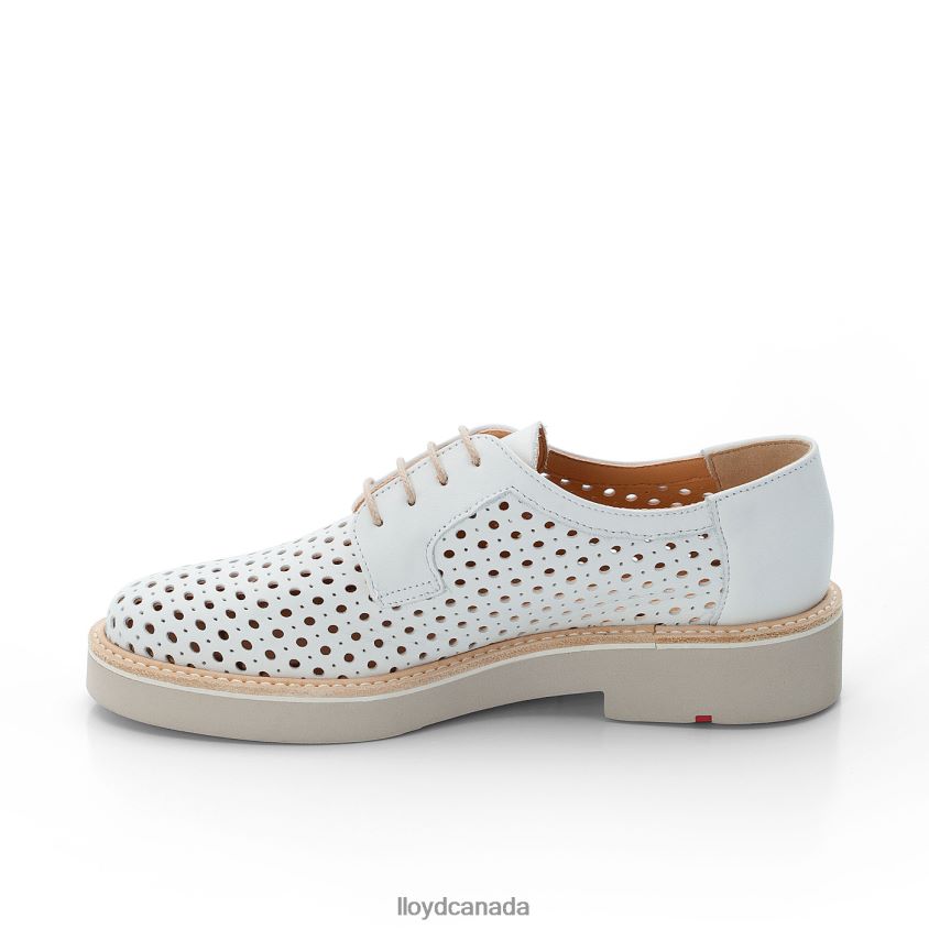 SMOOTH LEATHER LACE HALF SHOES LLOYD Women white R084ZF1184 Shoes