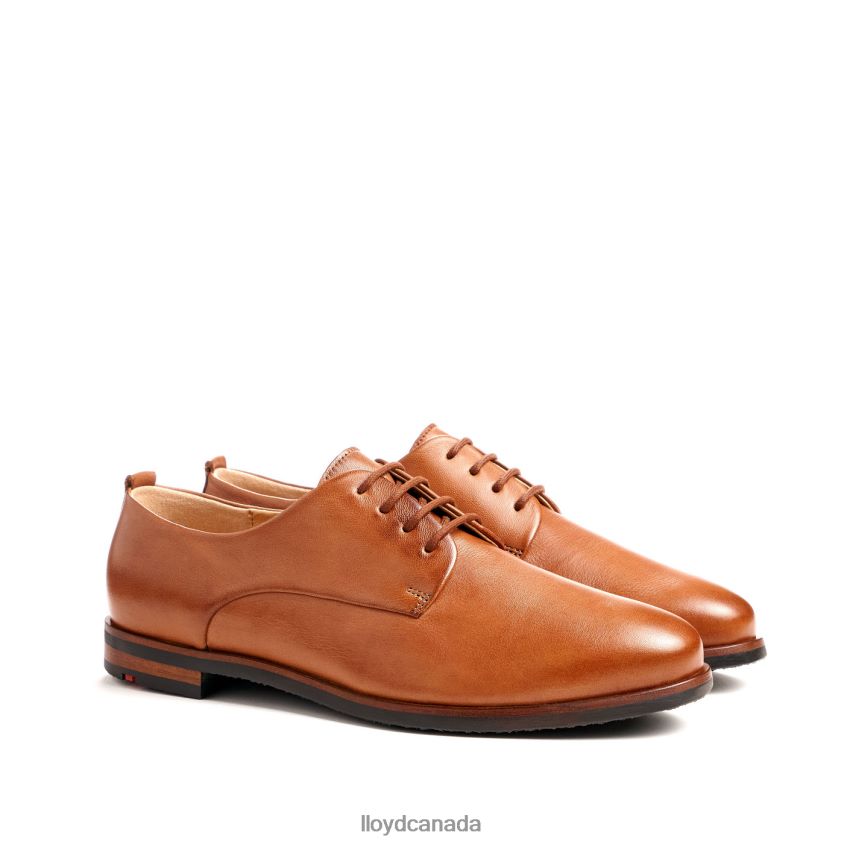SPOTY LACE UP HALF SHOES LLOYD Women brown R084ZF1030 Shoes