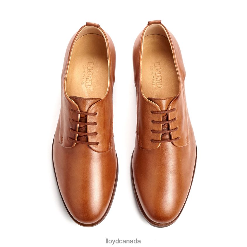 SPOTY LACE UP HALF SHOES LLOYD Women brown R084ZF1030 Shoes