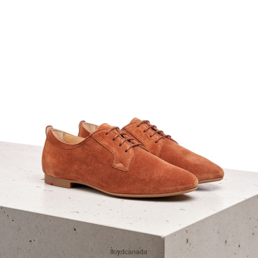 SUEDE LACE UP HALF SHOES LLOYD Women brown R084ZF1185 Shoes