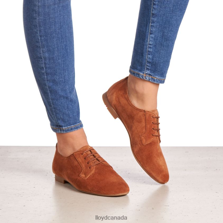 SUEDE LACE UP HALF SHOES LLOYD Women brown R084ZF1185 Shoes