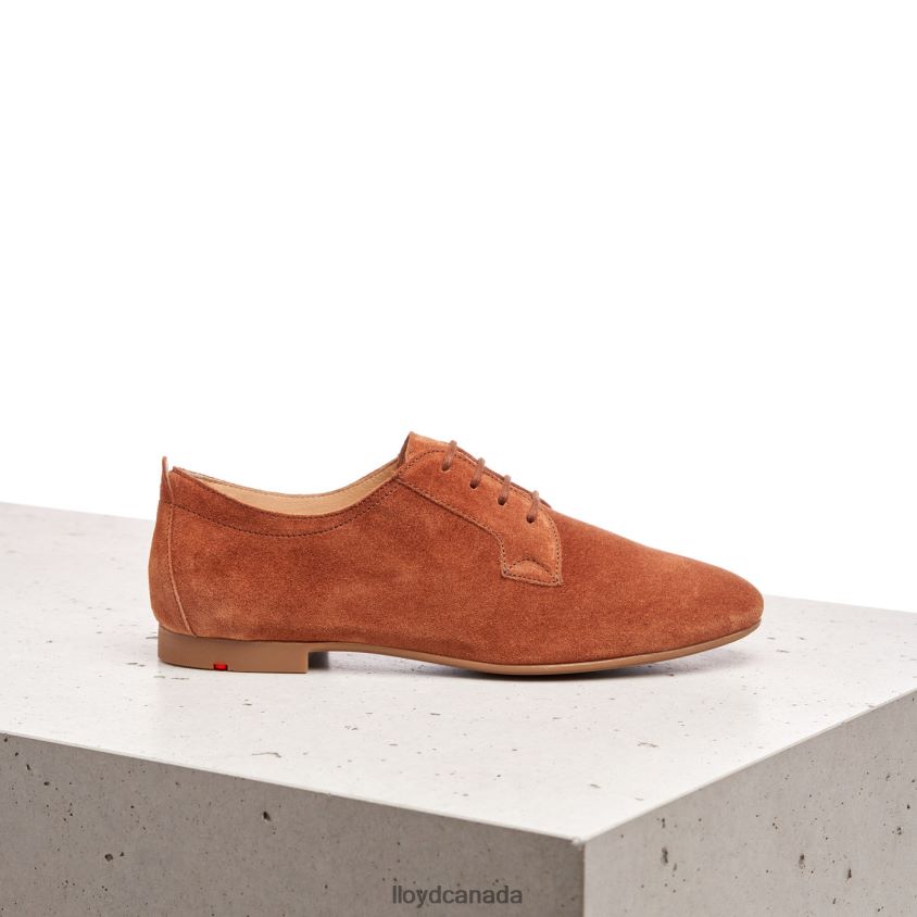SUEDE LACE UP HALF SHOES LLOYD Women brown R084ZF1185 Shoes