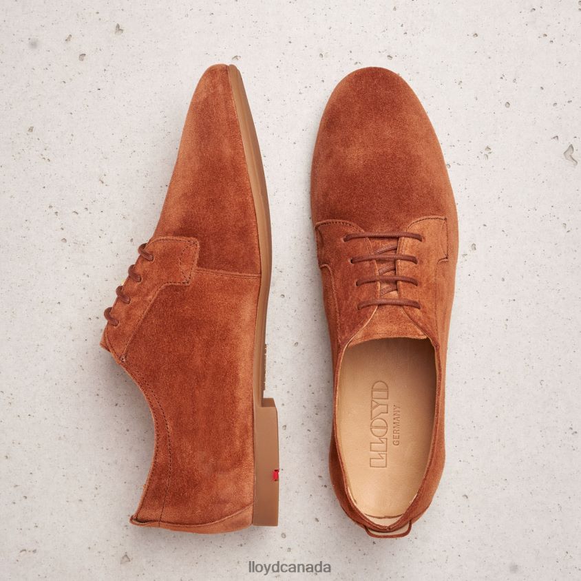 SUEDE LACE UP HALF SHOES LLOYD Women brown R084ZF1185 Shoes