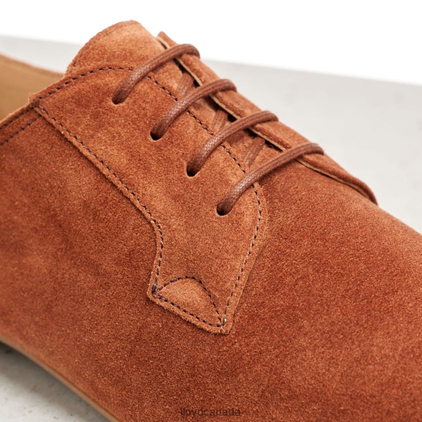 SUEDE LACE UP HALF SHOES LLOYD Women brown R084ZF1185 Shoes