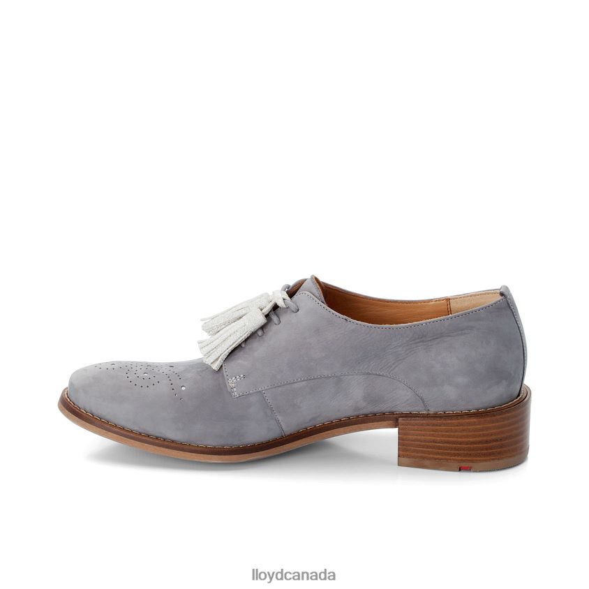 SUEDE LACE UP HALF SHOES LLOYD Women grey R084ZF1084 Shoes