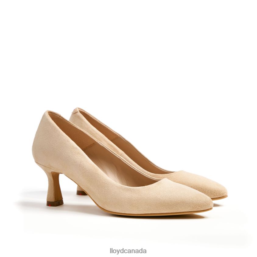 PUMPS LLOYD Women brown R084ZF1356 Shoes