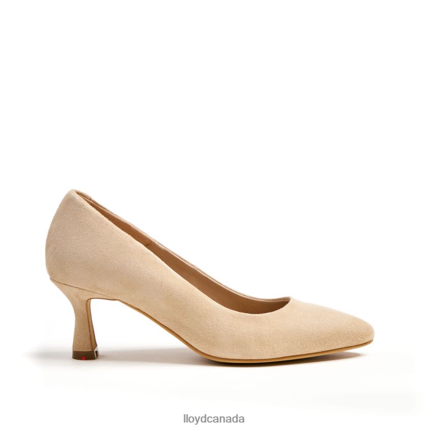 PUMPS LLOYD Women brown R084ZF1356 Shoes