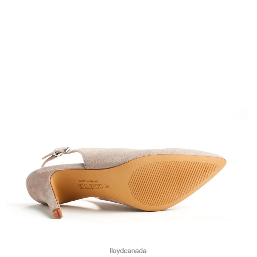 ROUGH LEATHER PUMPS LLOYD Women beige R084ZF1013 Shoes