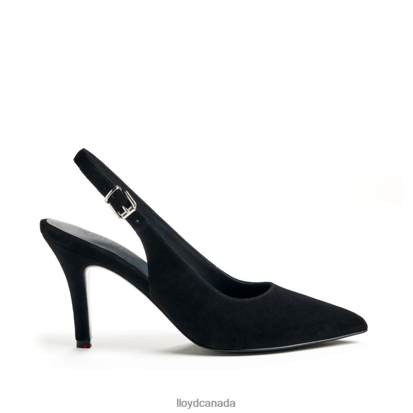 ROUGH LEATHER PUMPS LLOYD Women black R084ZF1012 Shoes