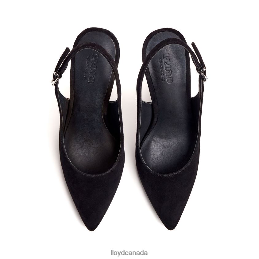 ROUGH LEATHER PUMPS LLOYD Women black R084ZF1012 Shoes