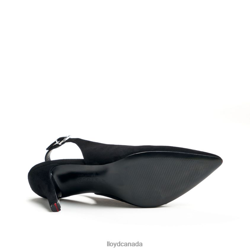 ROUGH LEATHER PUMPS LLOYD Women black R084ZF1012 Shoes