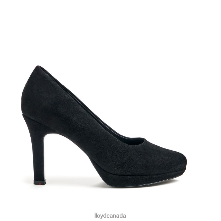 ROUGH LEATHER PUMPS LLOYD Women black R084ZF1016 Shoes