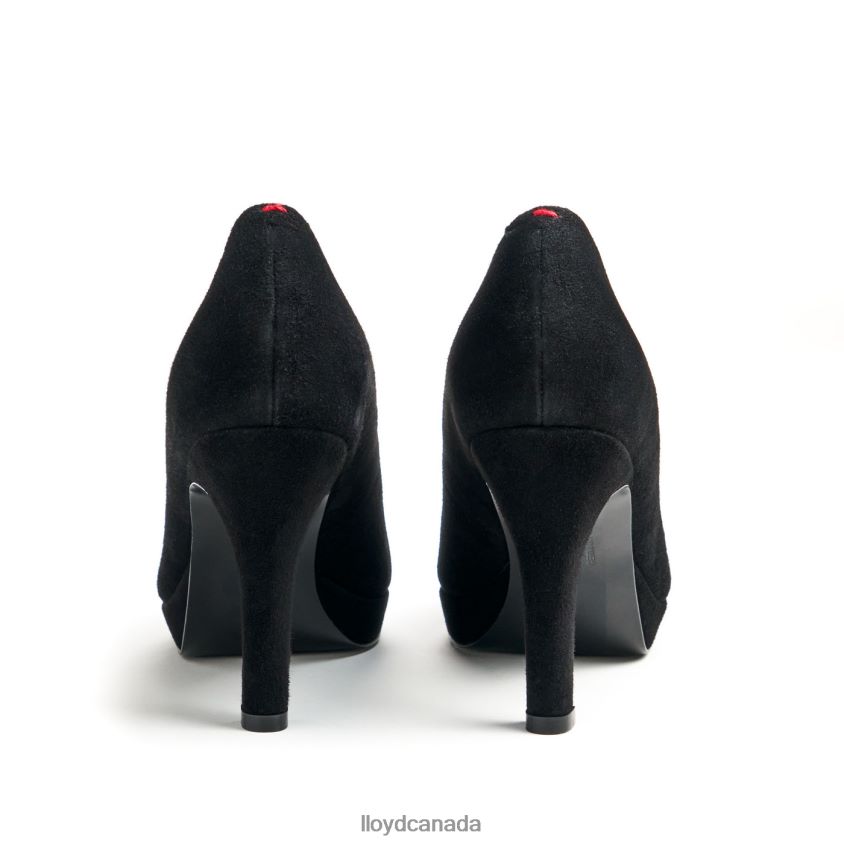 ROUGH LEATHER PUMPS LLOYD Women black R084ZF1016 Shoes