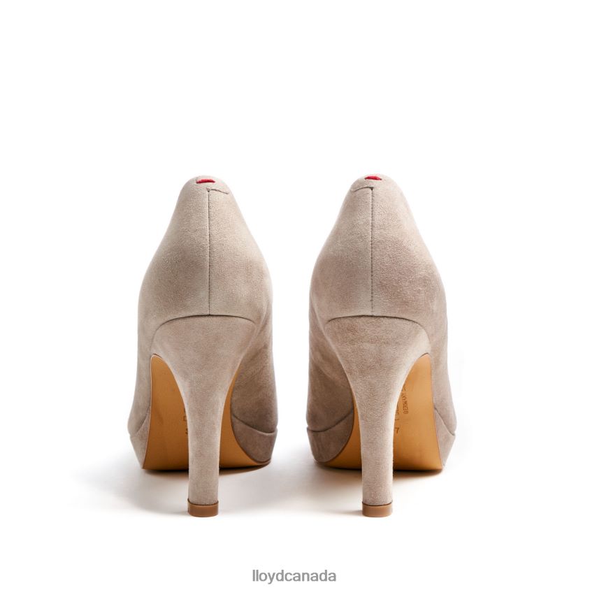 ROUGH LEATHER PUMPS LLOYD Women brown R084ZF1017 Shoes