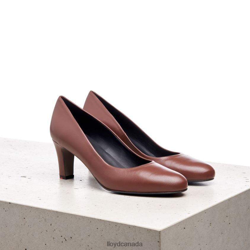 SMOOTH LEATHER PUMPS LLOYD Women brown R084ZF1050 Shoes