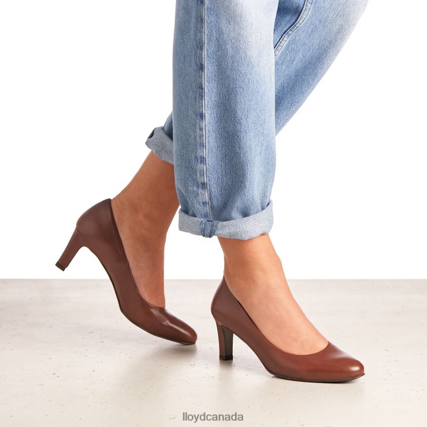 SMOOTH LEATHER PUMPS LLOYD Women brown R084ZF1050 Shoes