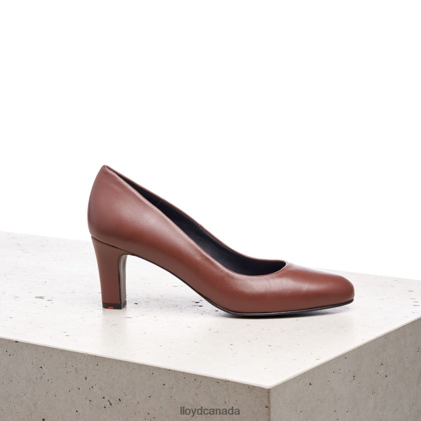 SMOOTH LEATHER PUMPS LLOYD Women brown R084ZF1050 Shoes