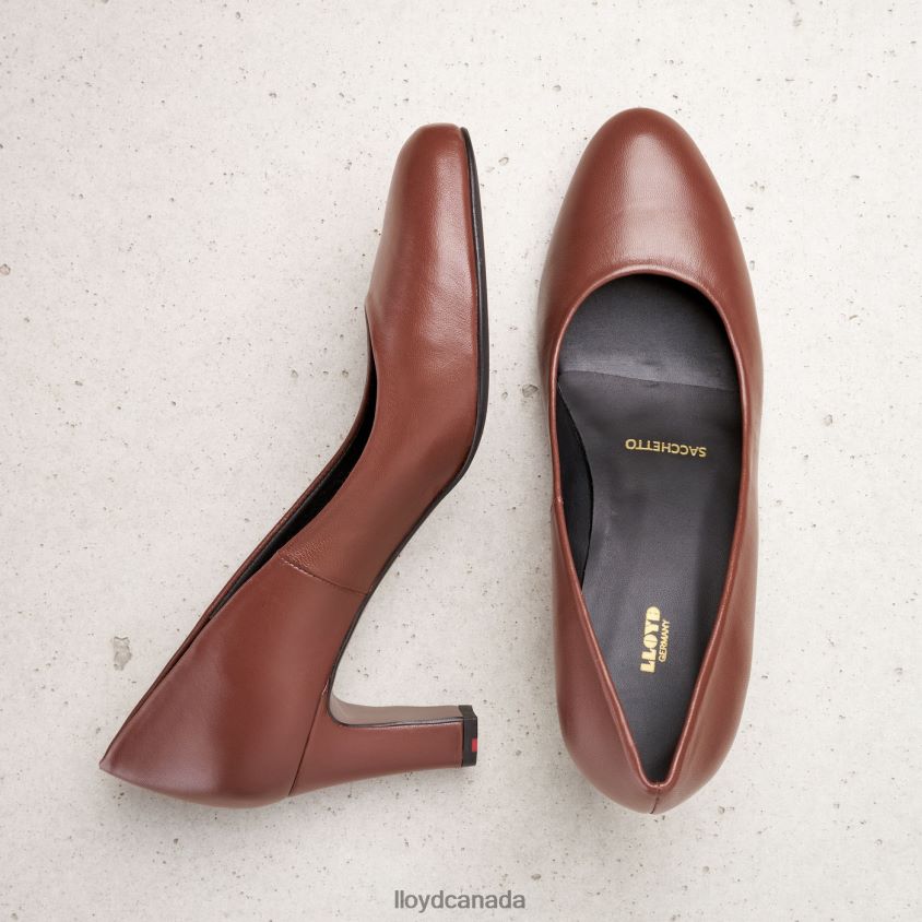 SMOOTH LEATHER PUMPS LLOYD Women brown R084ZF1050 Shoes