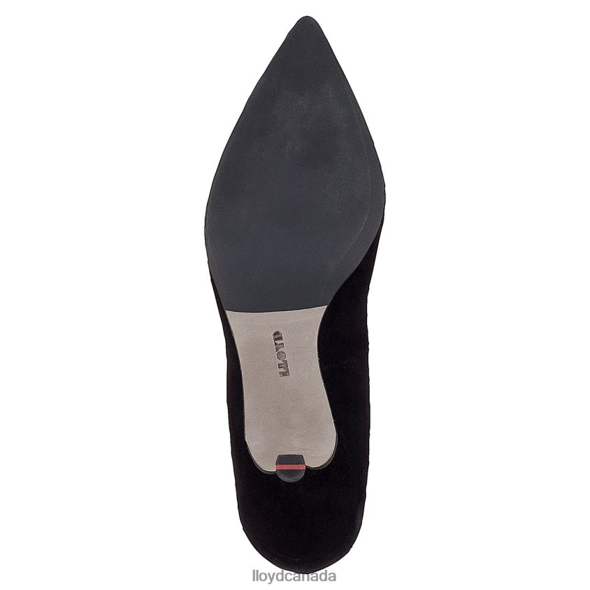 SUEDE PUMPS LLOYD Women black R084ZF1099 Shoes
