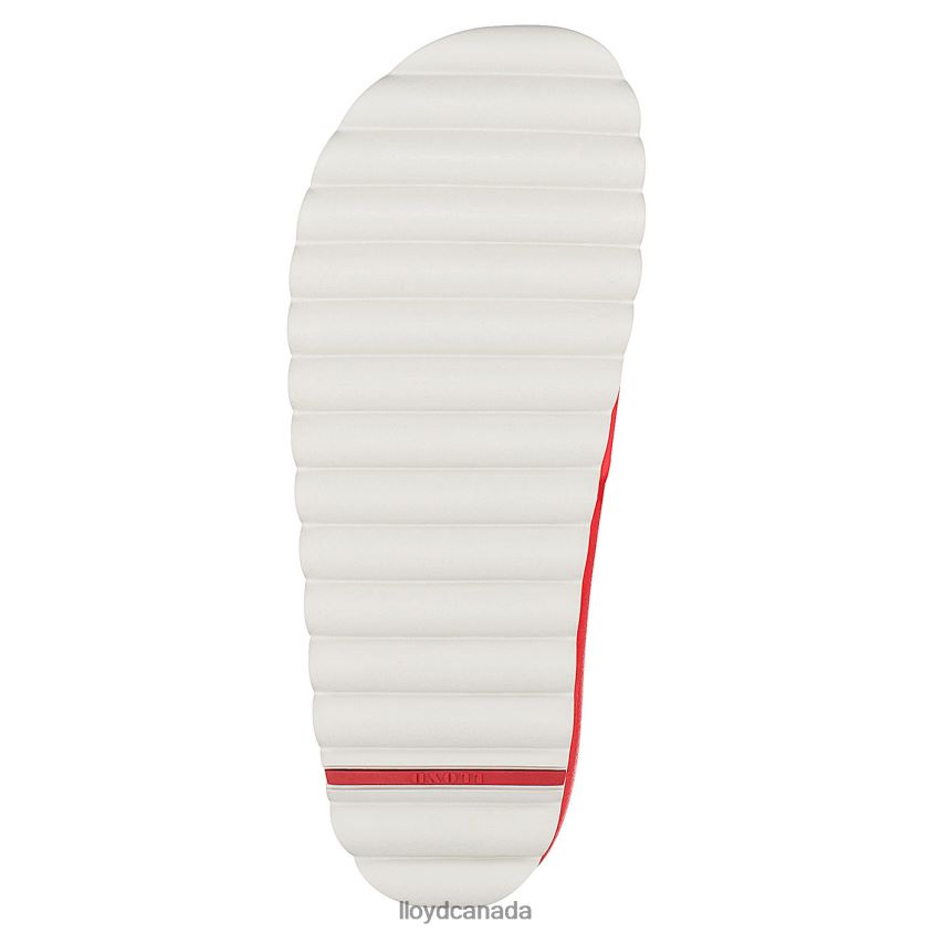 BATH SLIDES LLOYD Women red R084ZF1317 Shoes