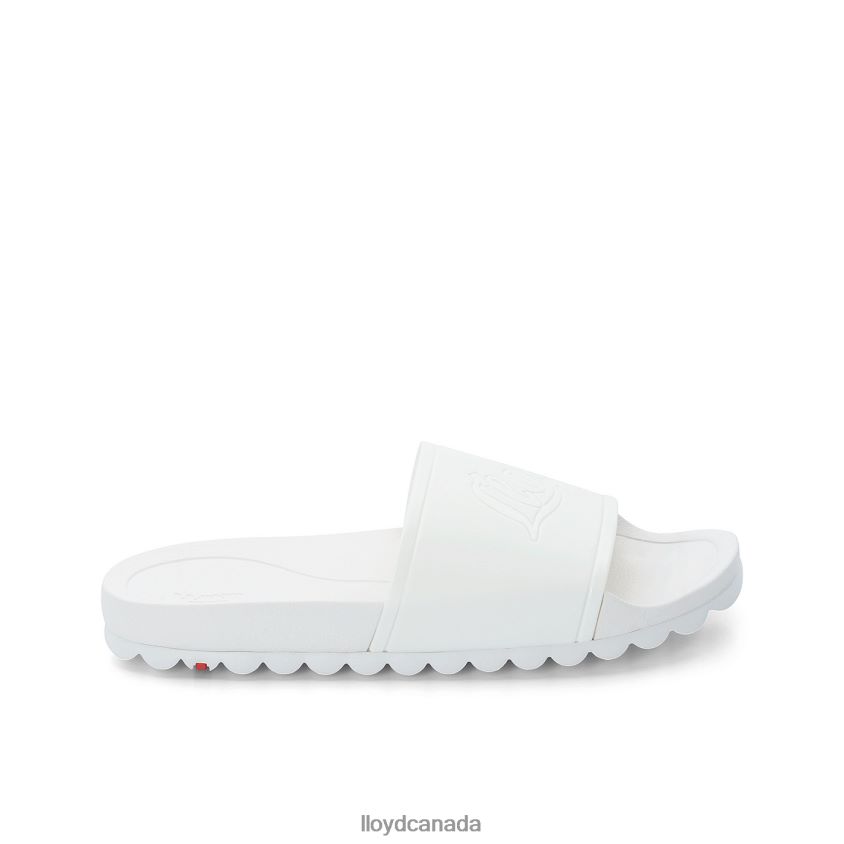 BATH SLIDES LLOYD Women white R084ZF1316 Shoes