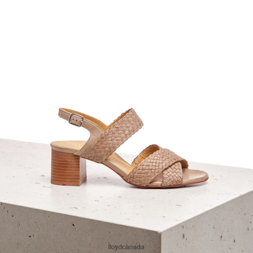 LEATHER SANDALE LLOYD Women beige R084ZF1217 Shoes