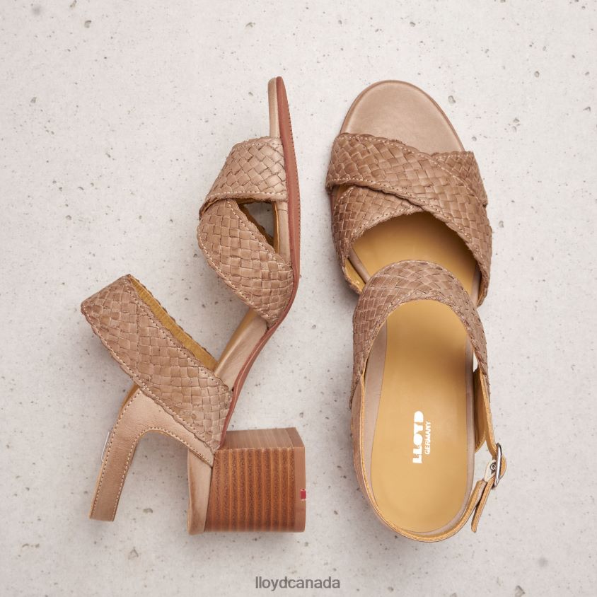 LEATHER SANDALE LLOYD Women beige R084ZF1217 Shoes