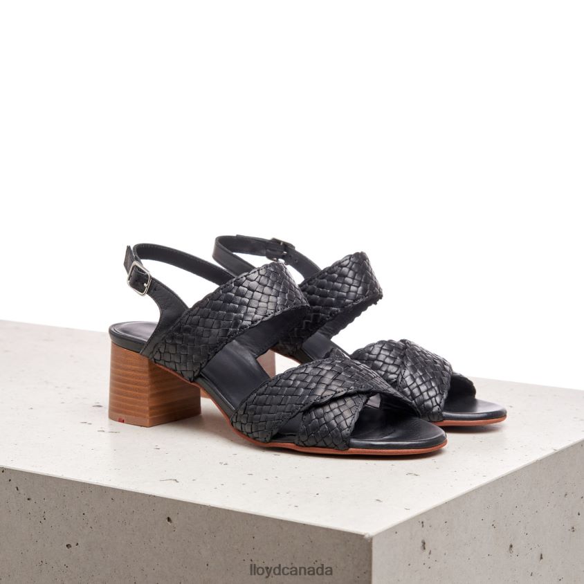 LEATHER SANDALE LLOYD Women black R084ZF1201 Shoes