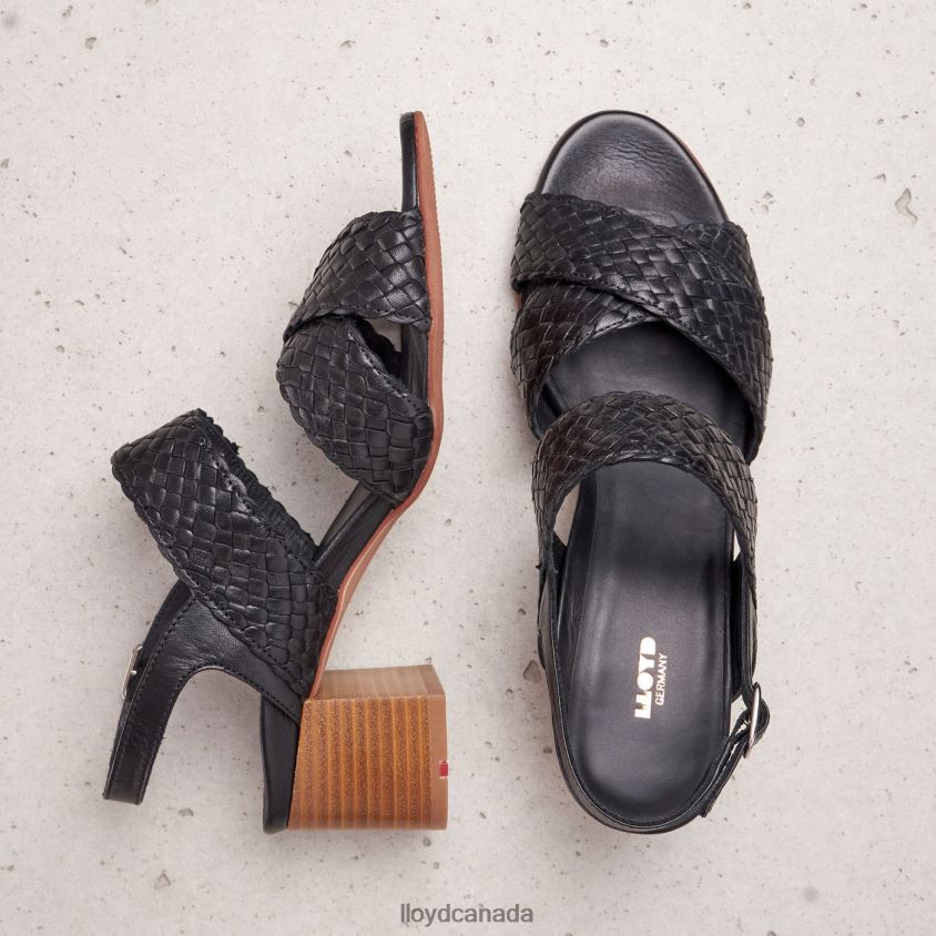 LEATHER SANDALE LLOYD Women black R084ZF1201 Shoes