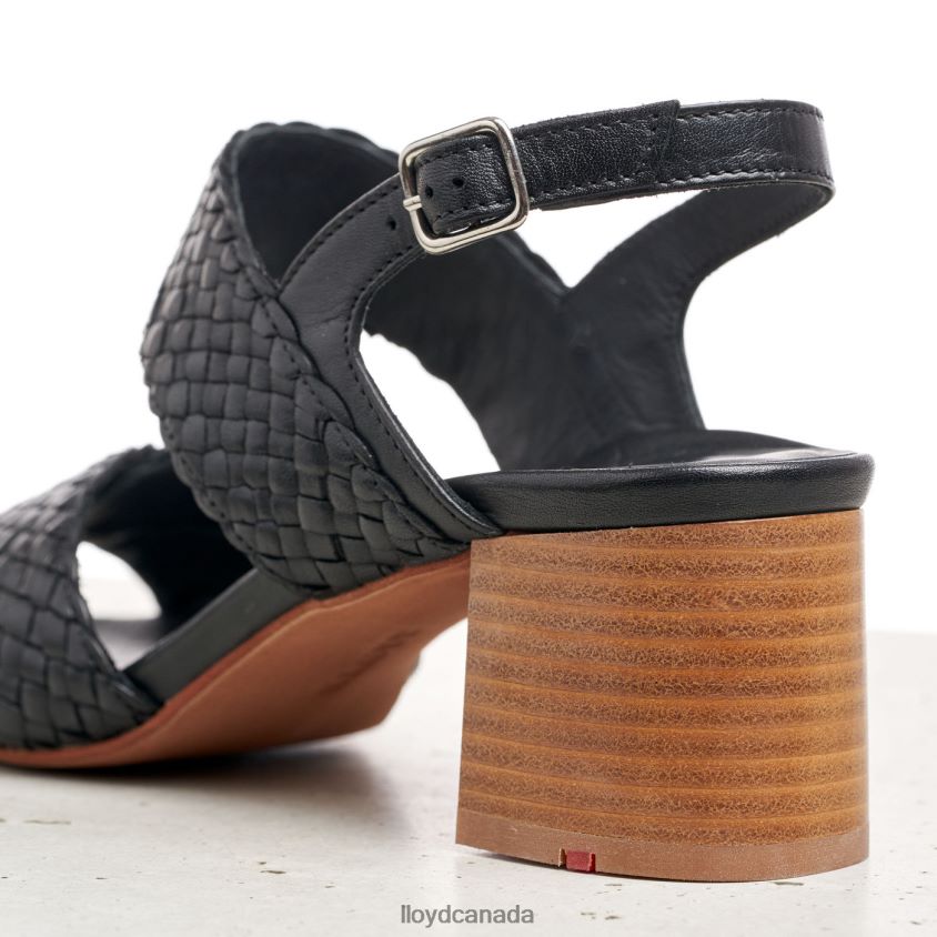 LEATHER SANDALE LLOYD Women black R084ZF1201 Shoes