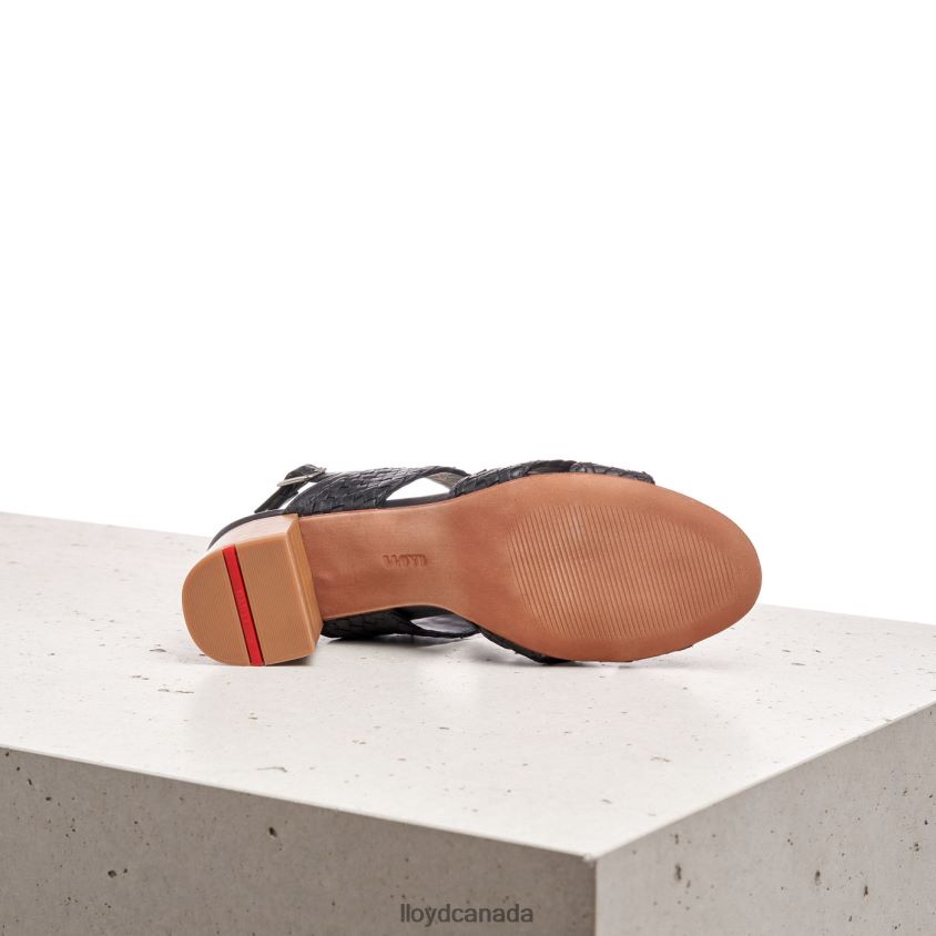 LEATHER SANDALE LLOYD Women black R084ZF1201 Shoes
