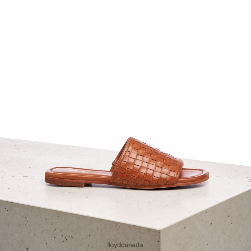 LEATHER SANDALE LLOYD Women brown R084ZF1233 Shoes