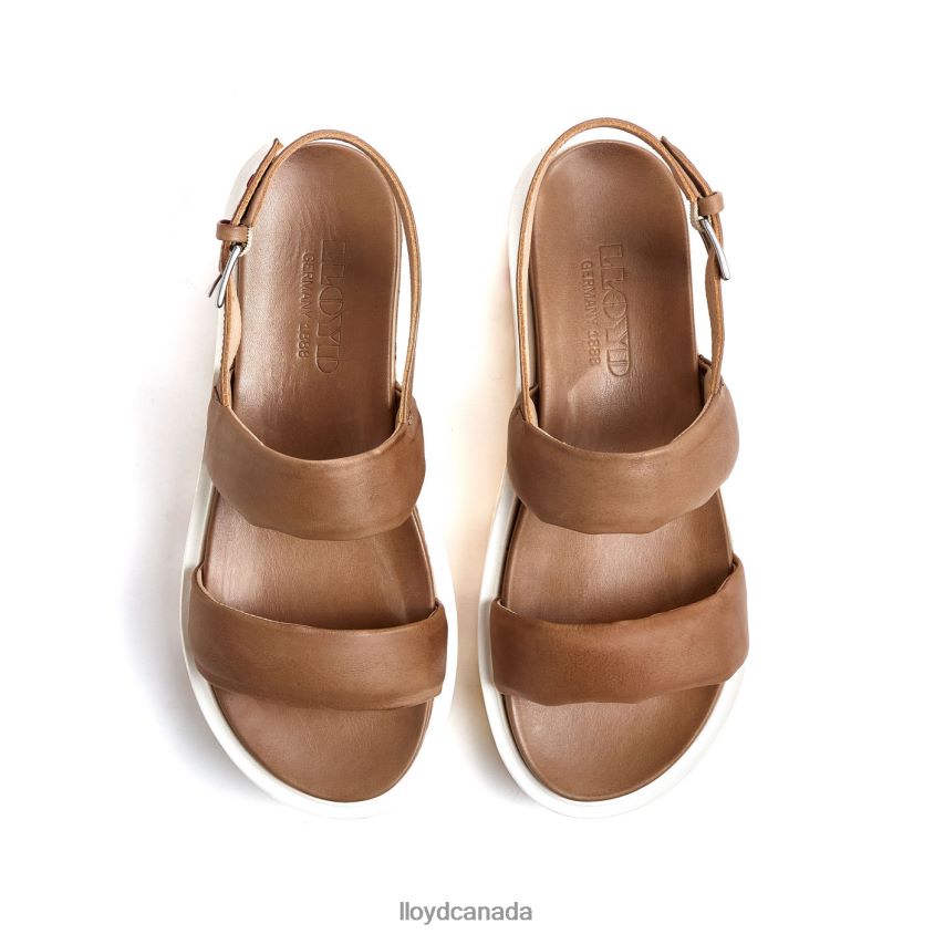 LIGHT SANDALS LLOYD Women beige R084ZF1202 Shoes