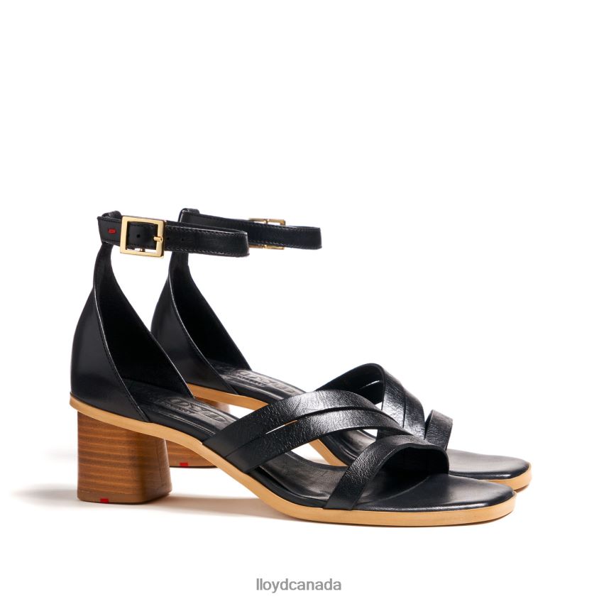 LIGHT SANDALS LLOYD Women black R084ZF1207 Shoes