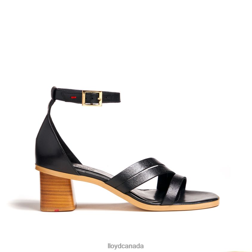 LIGHT SANDALS LLOYD Women black R084ZF1207 Shoes