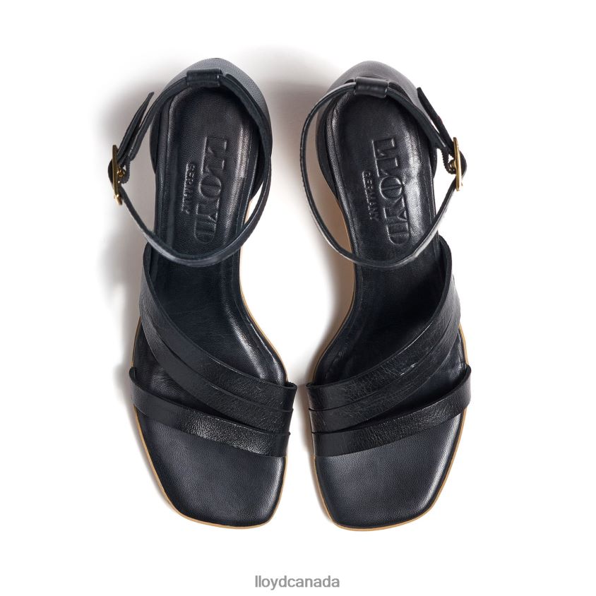 LIGHT SANDALS LLOYD Women black R084ZF1207 Shoes