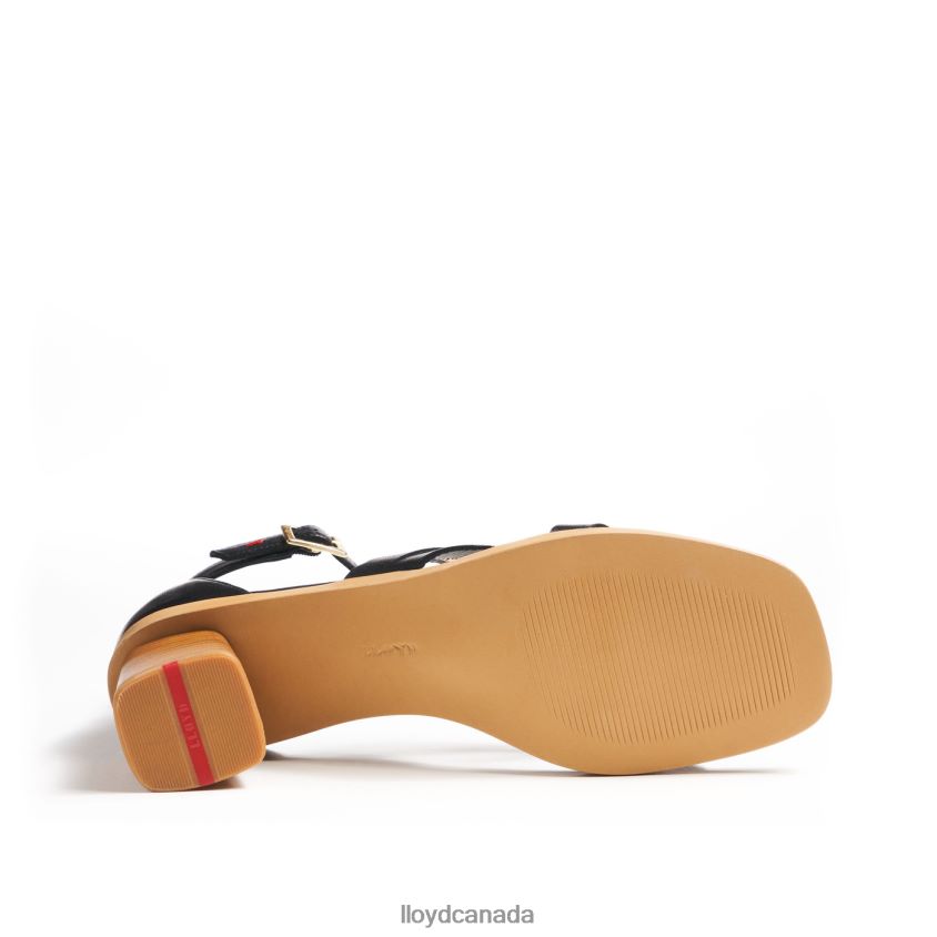 LIGHT SANDALS LLOYD Women black R084ZF1207 Shoes