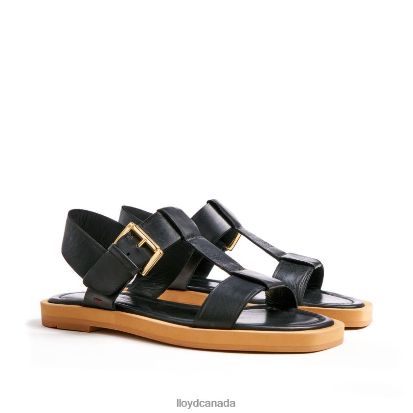 LIGHT SANDALS LLOYD Women black R084ZF1249 Shoes