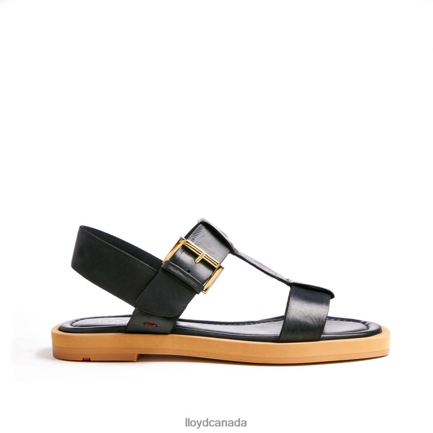 LIGHT SANDALS LLOYD Women black R084ZF1249 Shoes
